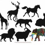 Ilustrații pentru zgârieturi de animale - curcubee 8 buc