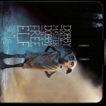 Pătură de picnic Harry Potter Dobby