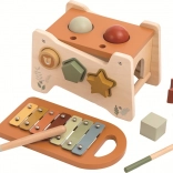 Banc de bătut multifuncțional cu xilofon 2Kids Toys