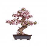 puzzle 3D din lemn bonsai sakura