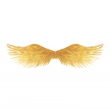 Aripi de înger aurii