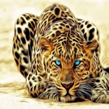 Pictură cu diamante – leopard la pândă 30 × 40 cm