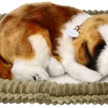 Cățeluș de pluș Saint Bernard care respiră