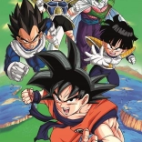 Puzzle Dragon Ball Z: În Acțiune 1000 de Piese