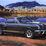 Model din plastic Shelby Mustang GT350H