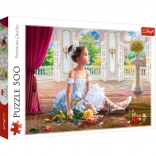 Puzzle 500 piese - Baletina mică
