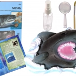 Set educațional Explorarea oceanului - Rechin și trilobiți