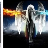 Pictură cu diamante Înger căzut 30x40 cm