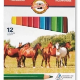 Creioane colorate triunghiulare TRIOCOLOR 12 buc