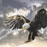 Puzzle Alb-Negru 500 Piese