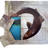 Just Jigsaws Somonul și ciclul său de viață - puzzle din lemn stratificat