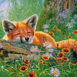 Puzzle 100 piese Foxy Dreams
