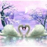pictură cu diamante Dragostea lebedei 30 × 40 cm