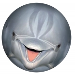 Minge subacvatică SPORTO – delfin pentru piscină și grădină