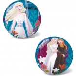 Minge Frozen II