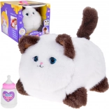 Pisicuța Interactivă Puszek - miaună, toarce și mișcă ochii