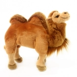 Cămilă de pluș