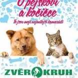 PC Despre cățel și pisicuță