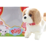 Căţel care merge maro-alb cu sărituri înapoi