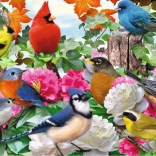 Puzzle Păsări de grădină Ravensburger 500 piese