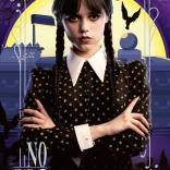 Puzzle 300 piese Wednesday