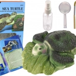 Set educativ Excații Țestoasa Ammonite