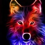 Pictură cu diamante Fantoma Lupului 30 × 40 cm