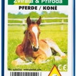 Kvartet - Cai în cutie de plastic