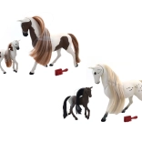 Royal Breeds - Cal cu Mânz