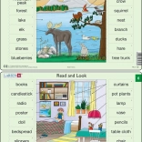 Puzzle limba engleză – vocabular, 16 piese