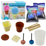 Set educațional Cultivarea arborelui magic de cristal