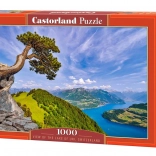 Puzzle cu 1000 de piese – lacul Uri, Elveția