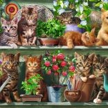 Puzzle Pisici pe rafturi 500 piese