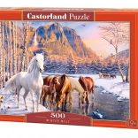 Puzzle CASTORLAND Winter Melt – cai, 500 piese