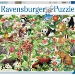 Puzzle Ravensburger Jungla 2000 de piese