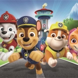 Puzzle 60 piese PAW Patrol Super Color