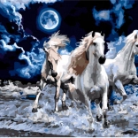 Set creativ de pictură cu diamante Armăsari albi 30x40cm