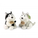 Husky de pluș 16 cm de la RAPPA - jucărie ecologică