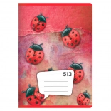 caiet A5, 10 file – dictando 12 mm