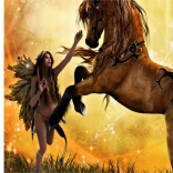 Pictură cu diamante îmblânzirea calului 30 × 40 cm