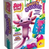 Set Slumi Științific - Creatie Axolotl