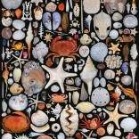 Puzzle De pe plajă 1000 piese PIATNIK