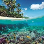 Puzzle Paradis de vară 1000 piese de la Clementoni