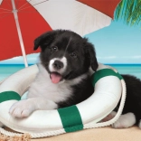 Puzzle CLEMENTONI Țărm însorit 104 piese