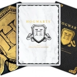Set de blocnotesuri A6 HARRY POTTER