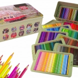 Setul micului artist 300 creioane colorate în organizator