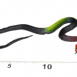 Șarpe de cauciuc decor de Halloween