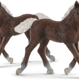SCHLEICH HORSE CLUB mânz Schwarzwald – figurină