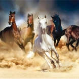 Pictură cu diamante Turma Sălbatică 30x40 cm