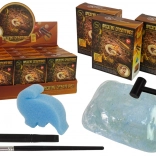 Săpături ale creaturilor antice – surpriză amonit